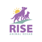 Soon Yuen Teng (Angeline)