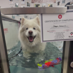 Dr. Christopher Dupuis