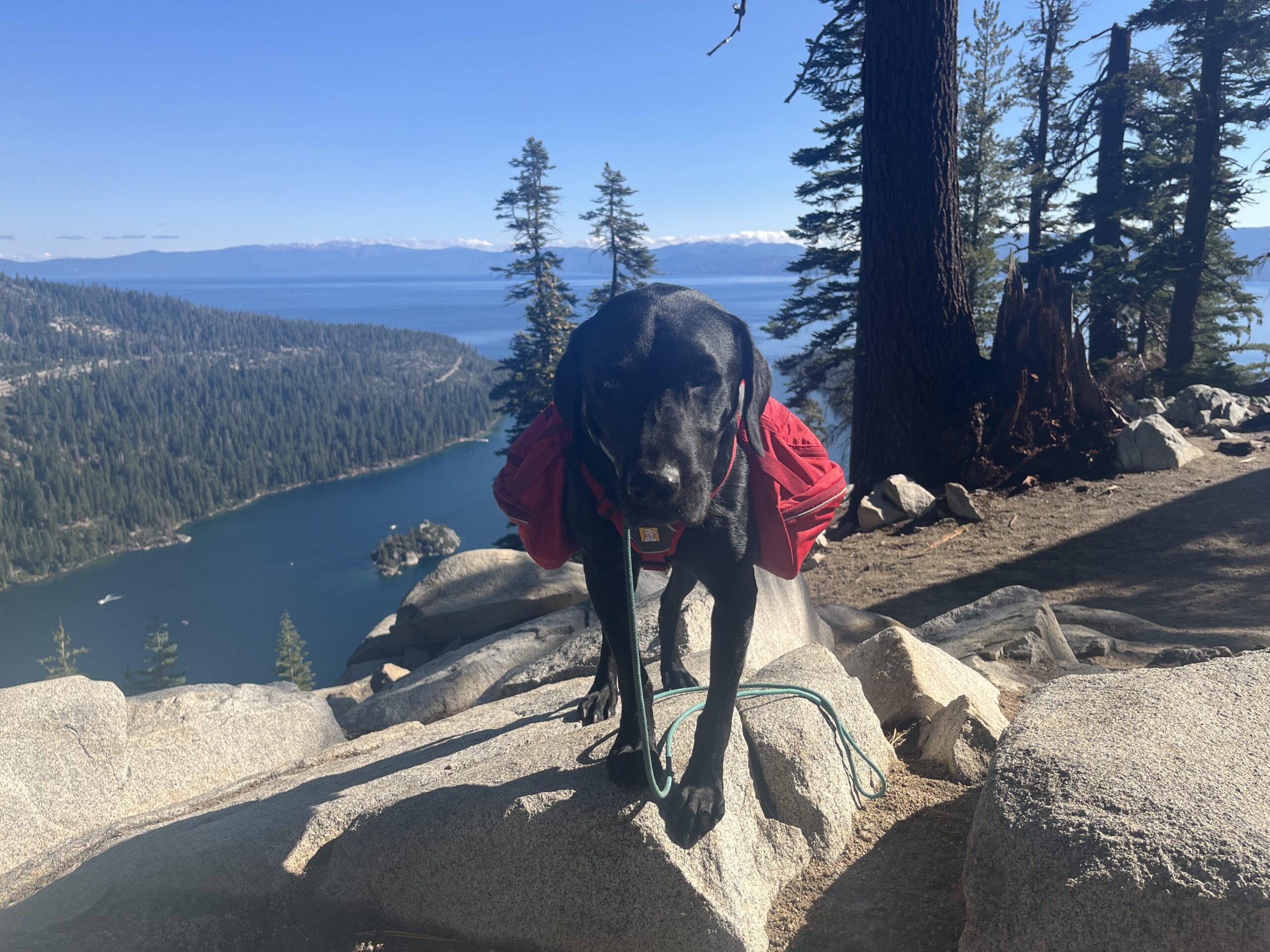 Read more about the article Integrative Practice For Sale in South Shore, Lake Tahoe, NV